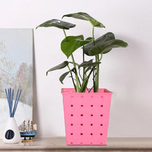 Square dotted planters, perfect for single plants on railings.