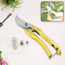 Gardening Tools - Garden Shears Pruners Scissor (1 Pc)